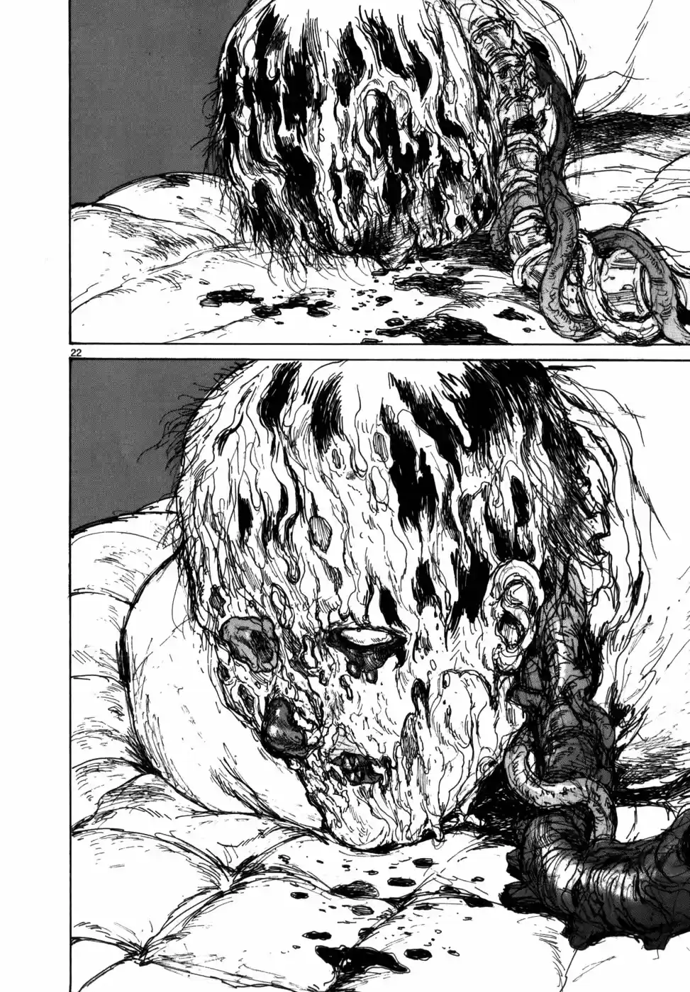 Read Dorohedoro BR Manga Online