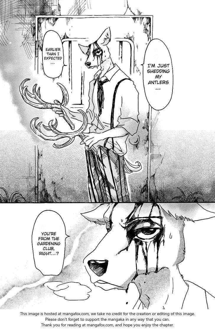 Read Beastars Manga Online