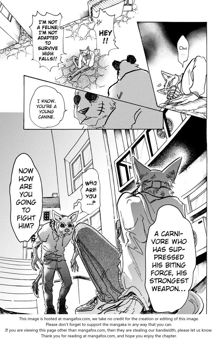 Read Beastars Manga Online
