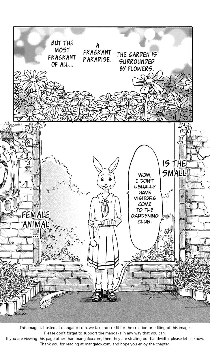 Read Beastars Manga Online