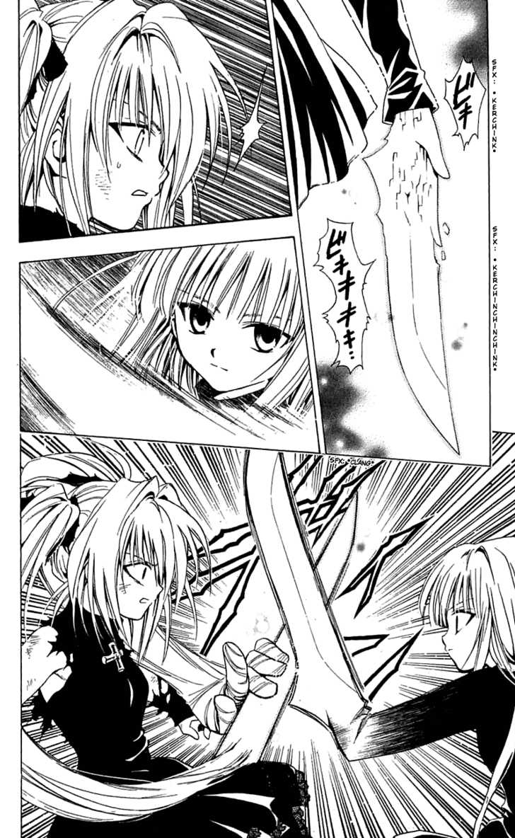 Read Black Cat Manga Online