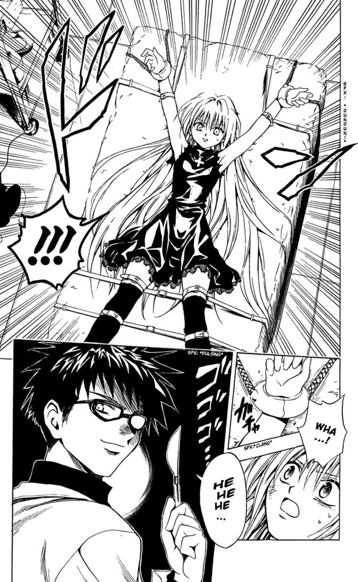 Read Black Cat Manga Online
