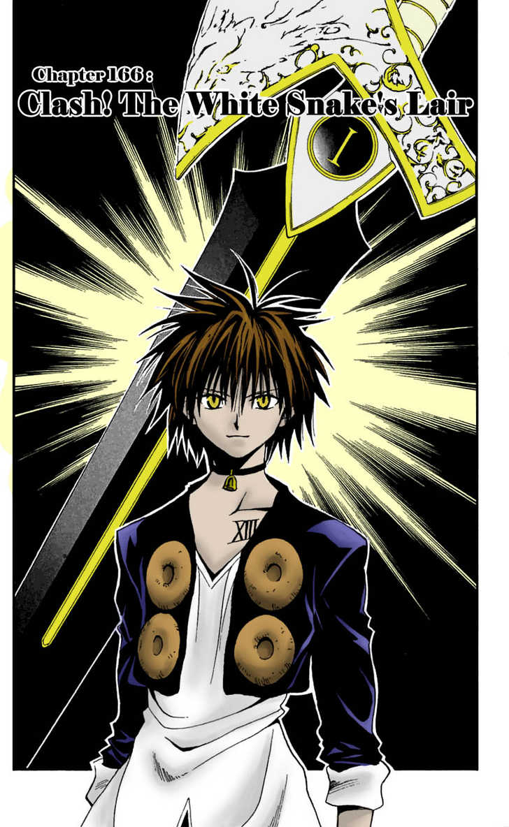 Read Black Cat Manga Online