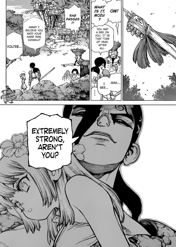 Read Dr. Stone Manga Online