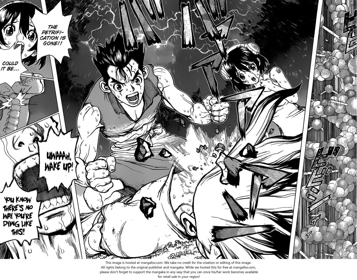 Read Dr. Stone Manga Online