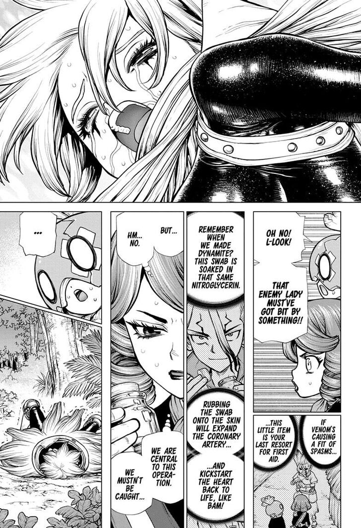 Read Dr. Stone Manga Online