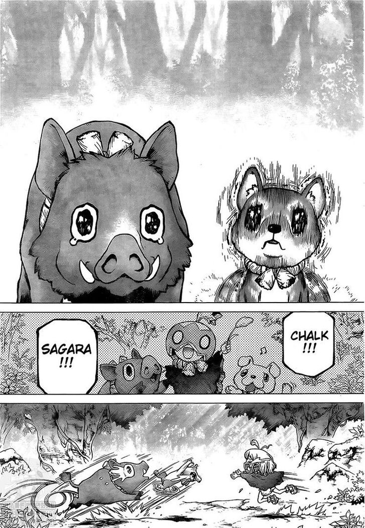 Read Dr. Stone Manga Online
