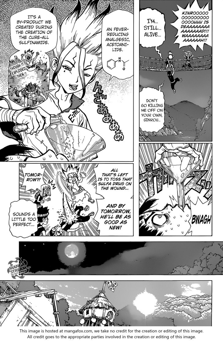Read Dr. Stone Manga Online