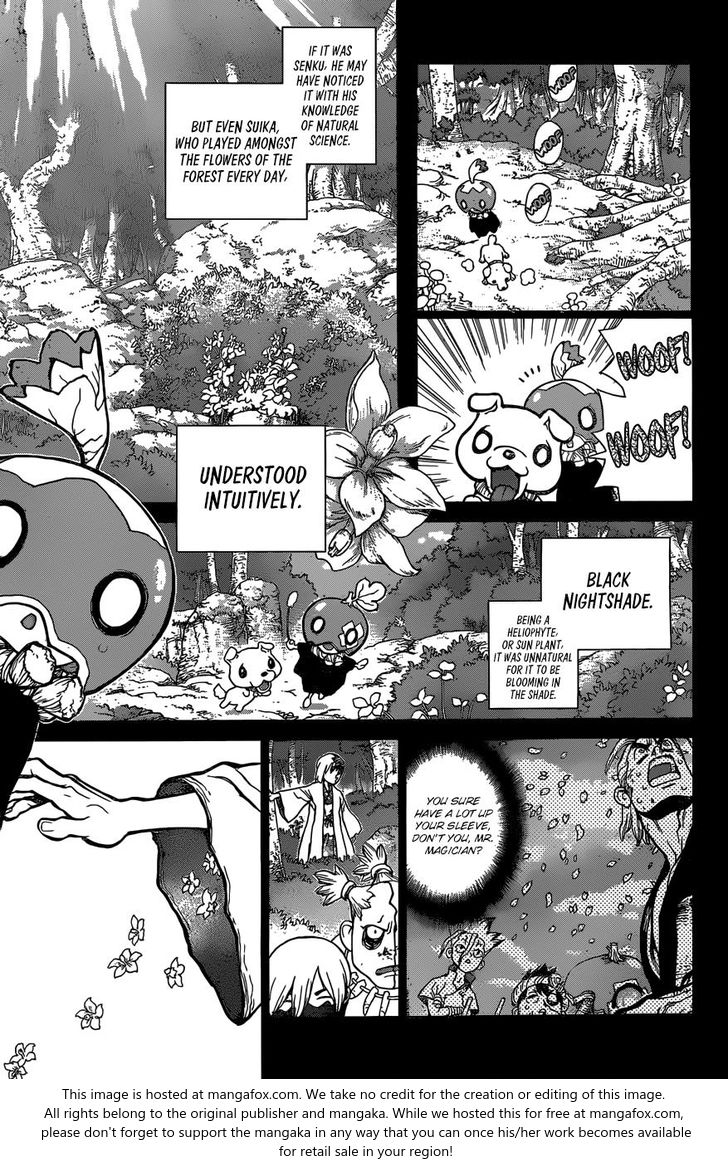 Read Dr. Stone Manga Online