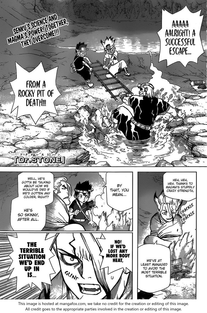 Read Dr. Stone Manga Online