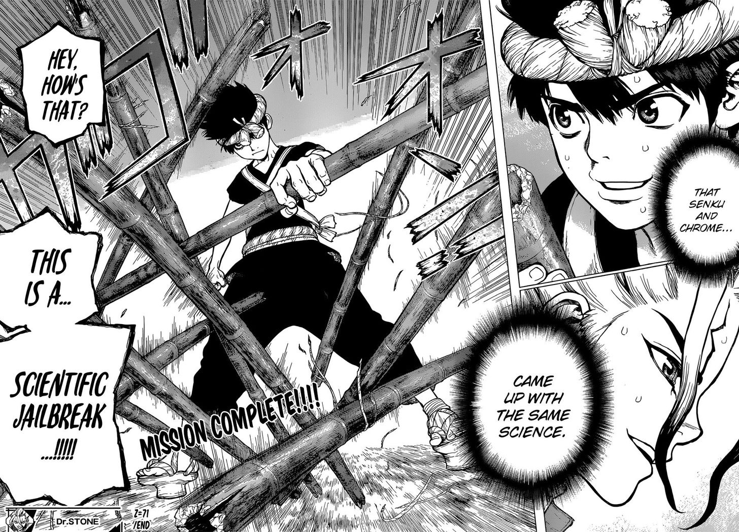 Read Dr. Stone Manga Online