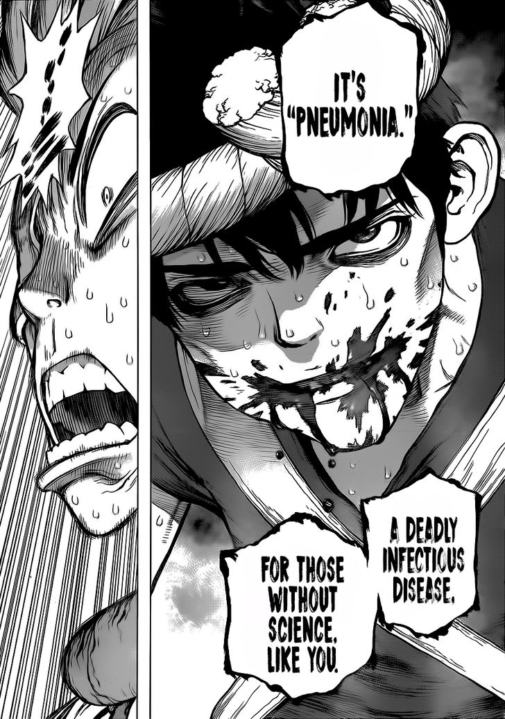 Read Dr. Stone Manga Online