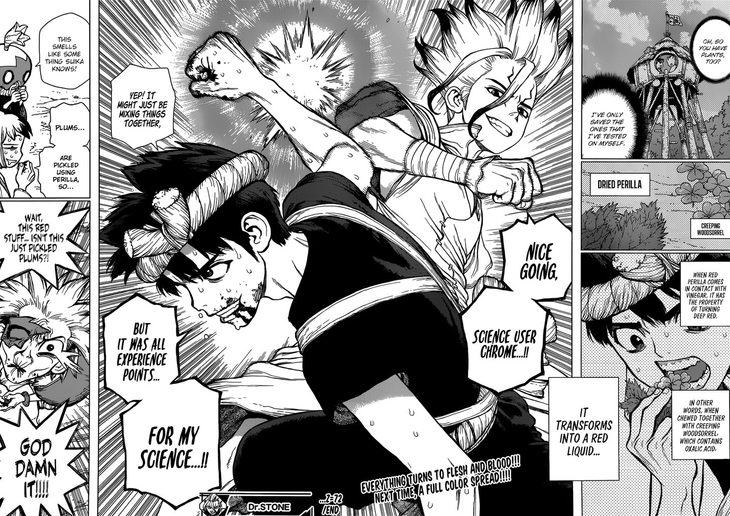 Read Dr. Stone Manga Online