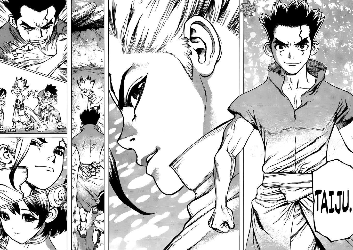 Read Dr. Stone Manga Online