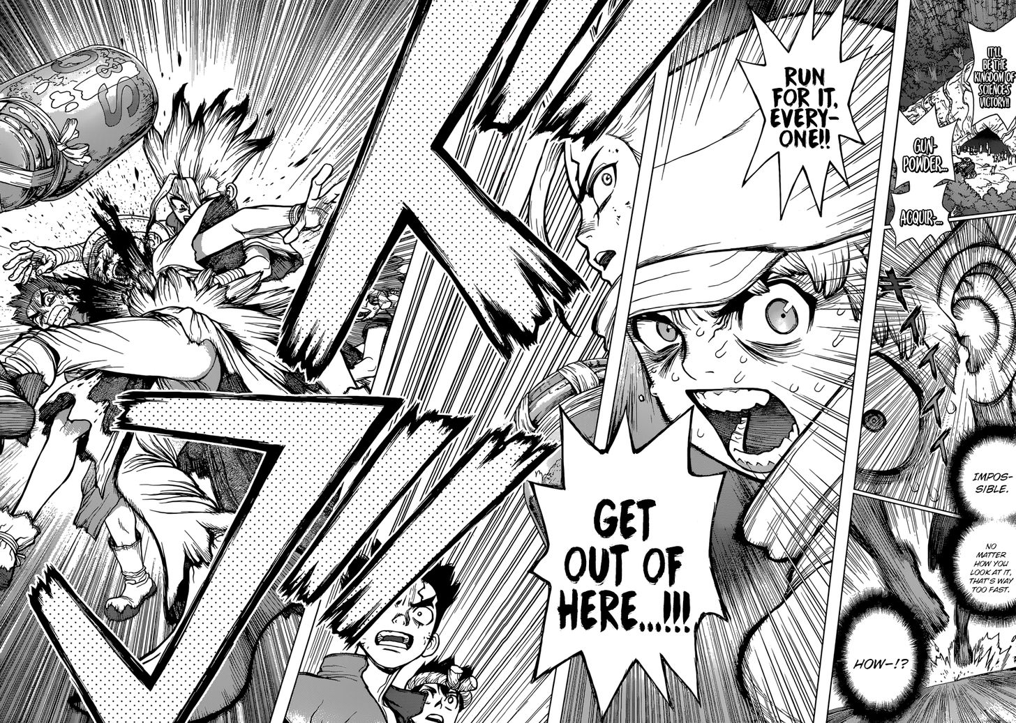 Read Dr. Stone Manga Online