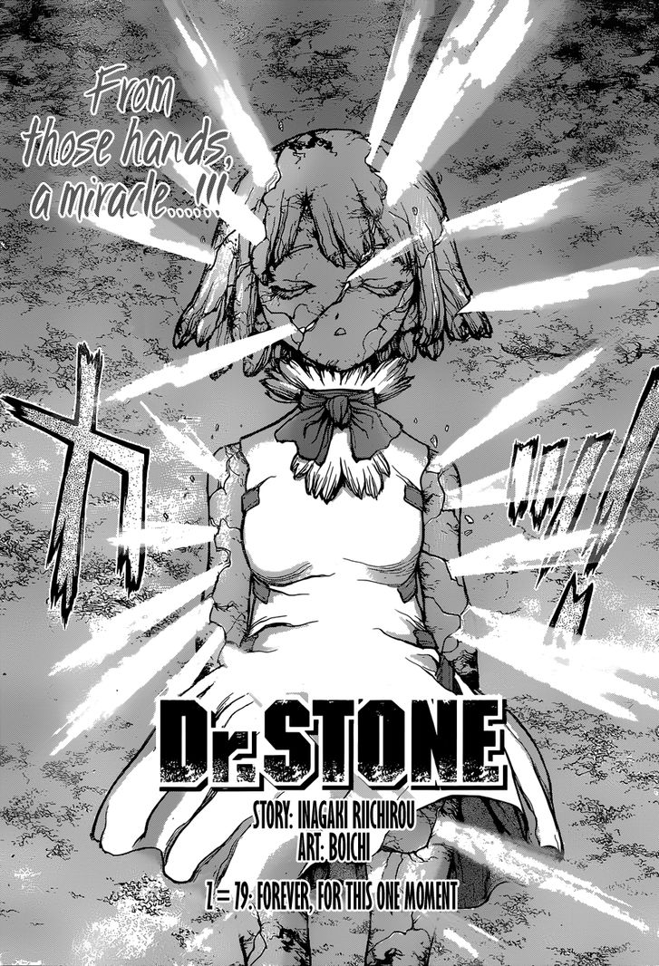 Read Dr. Stone Manga Online