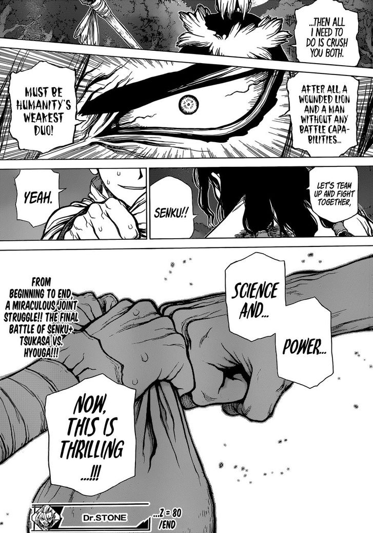 Read Dr. Stone Manga Online