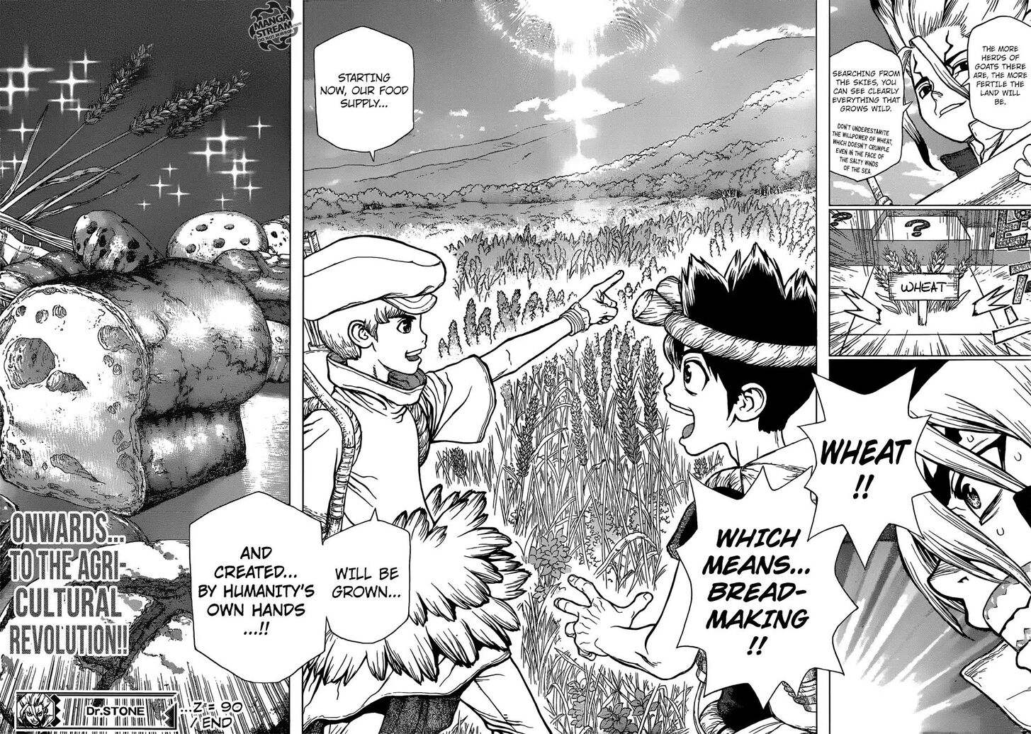 Read Dr. Stone Manga Online