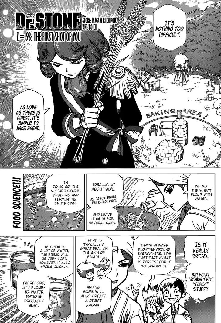 Read Dr. Stone Manga Online