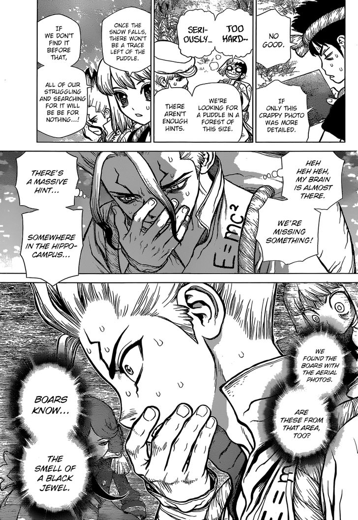 Read Dr. Stone Manga Online