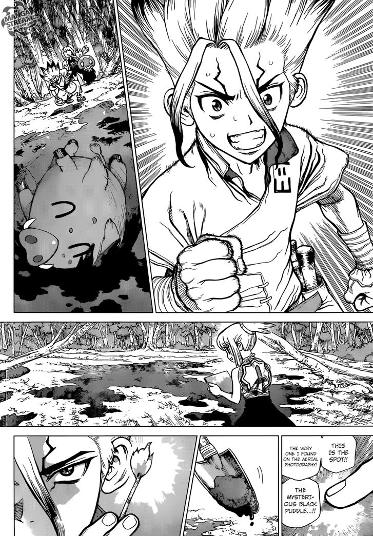 Read Dr. Stone Manga Online