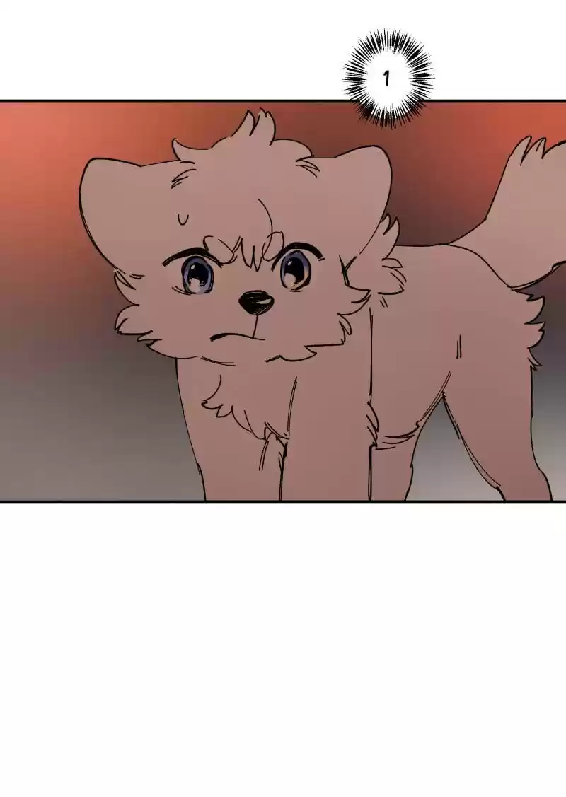 Read LUMINE Manga Online