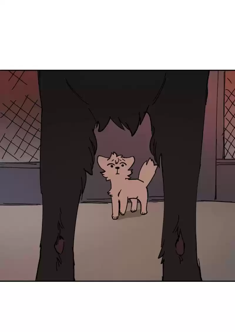 Read LUMINE Manga Online