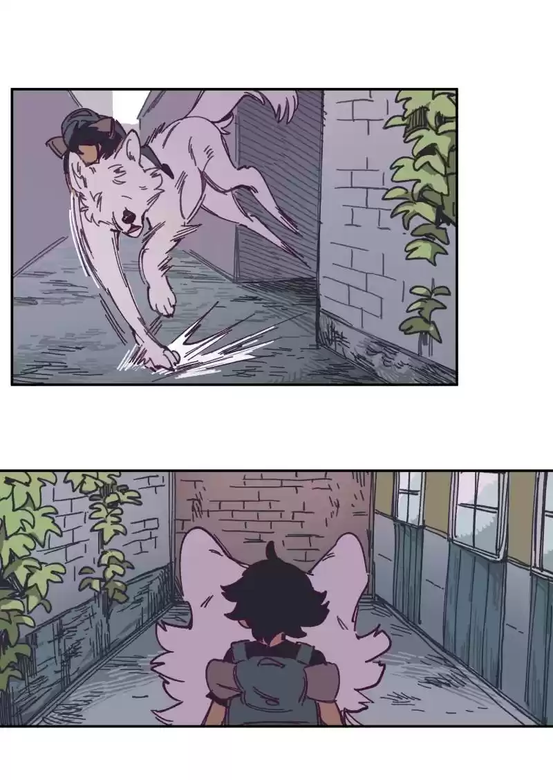 Read LUMINE Manga Online