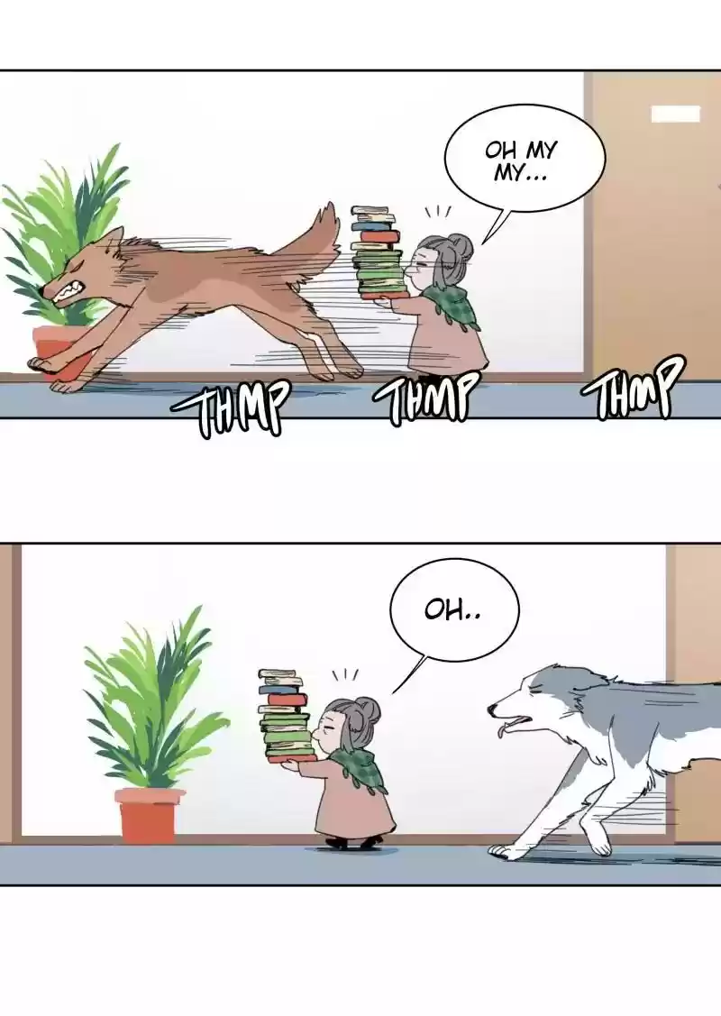Read LUMINE Manga Online