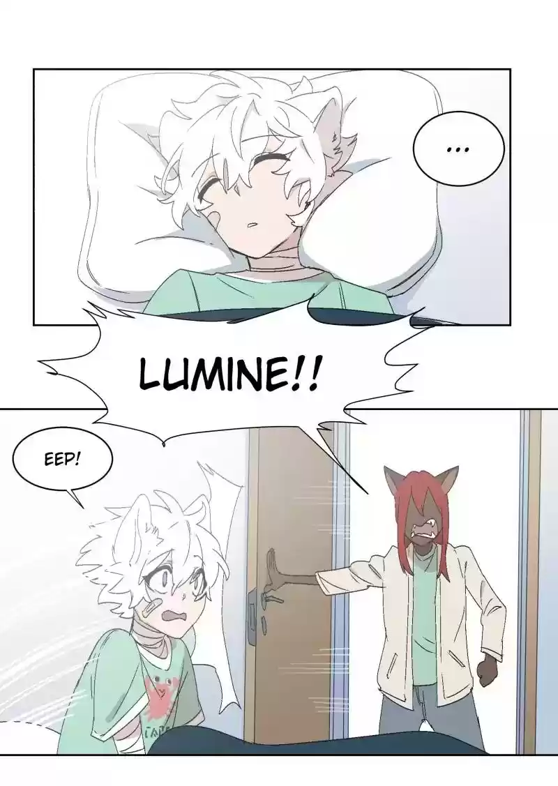 Read LUMINE Manga Online