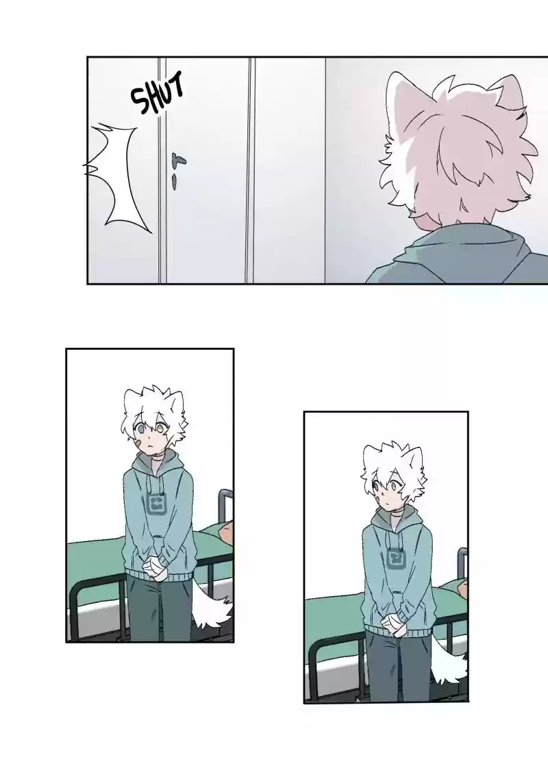 Read LUMINE Manga Online