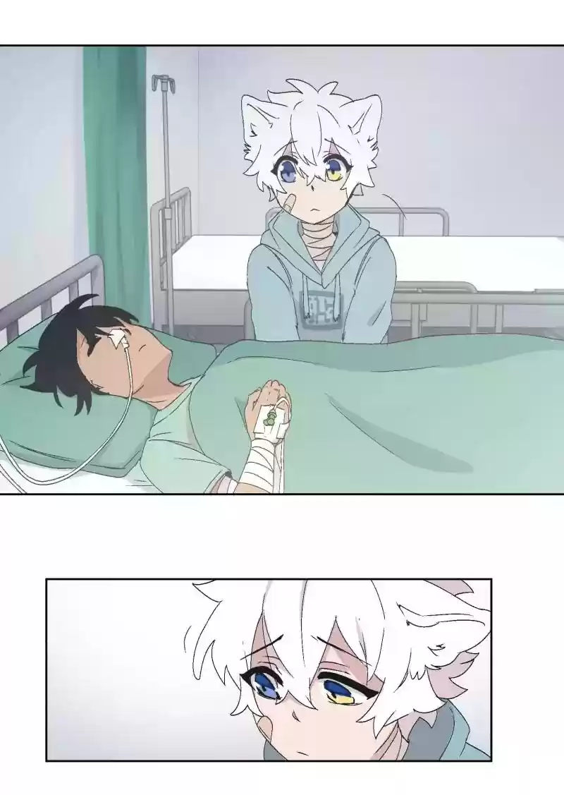 Read LUMINE Manga Online