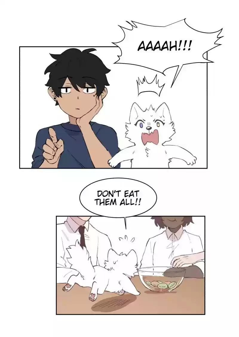 Read LUMINE Manga Online