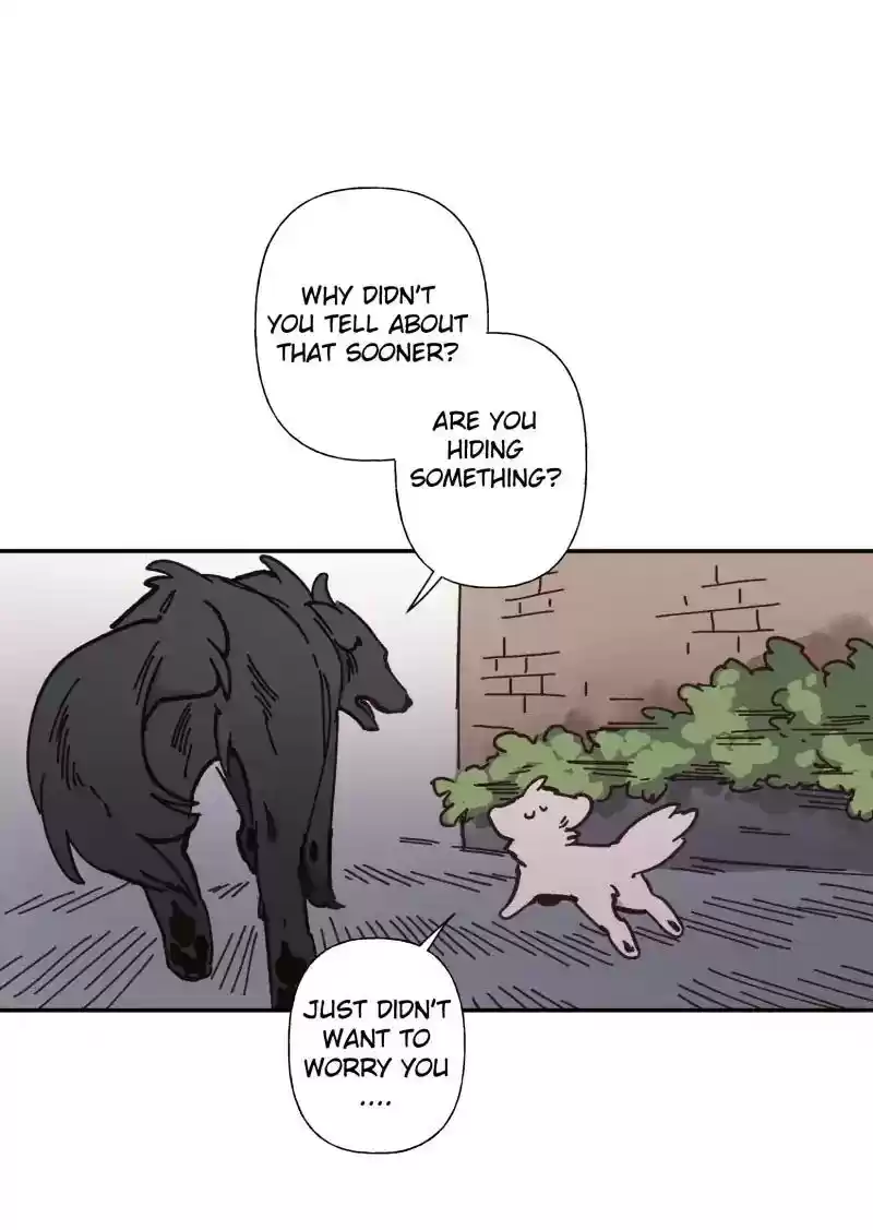 Read LUMINE Manga Online