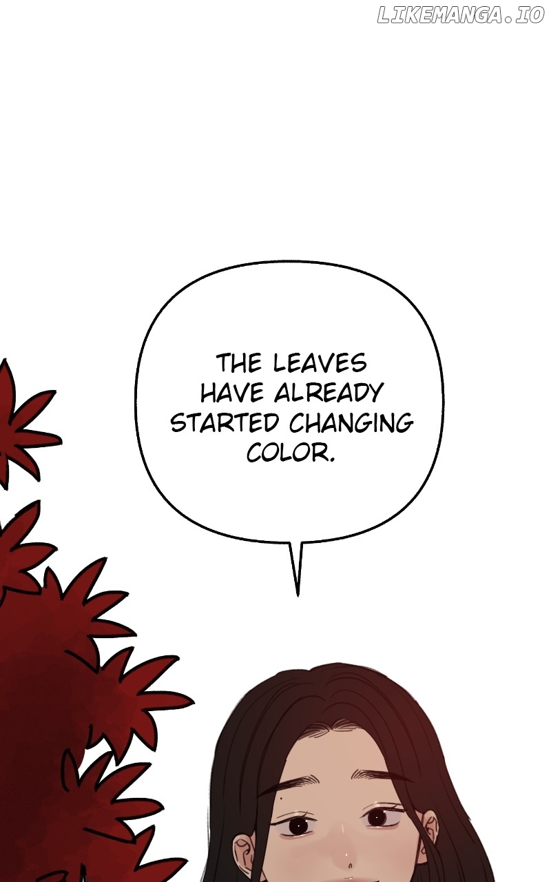 Read Muse on Fame Manga Online