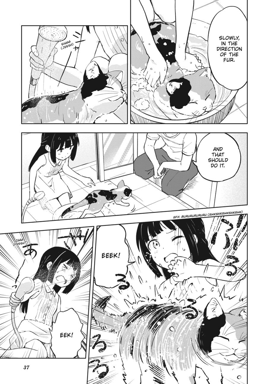 Read Rascal Does Not Dream of a Dreaming Girl Manga Online