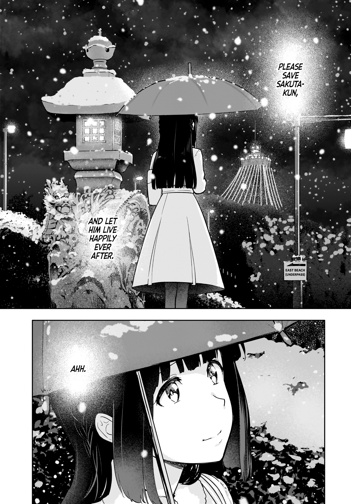 Read Rascal Does Not Dream of a Dreaming Girl Manga Online