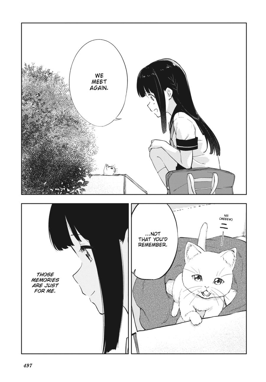 Read Rascal Does Not Dream of a Dreaming Girl Manga Online