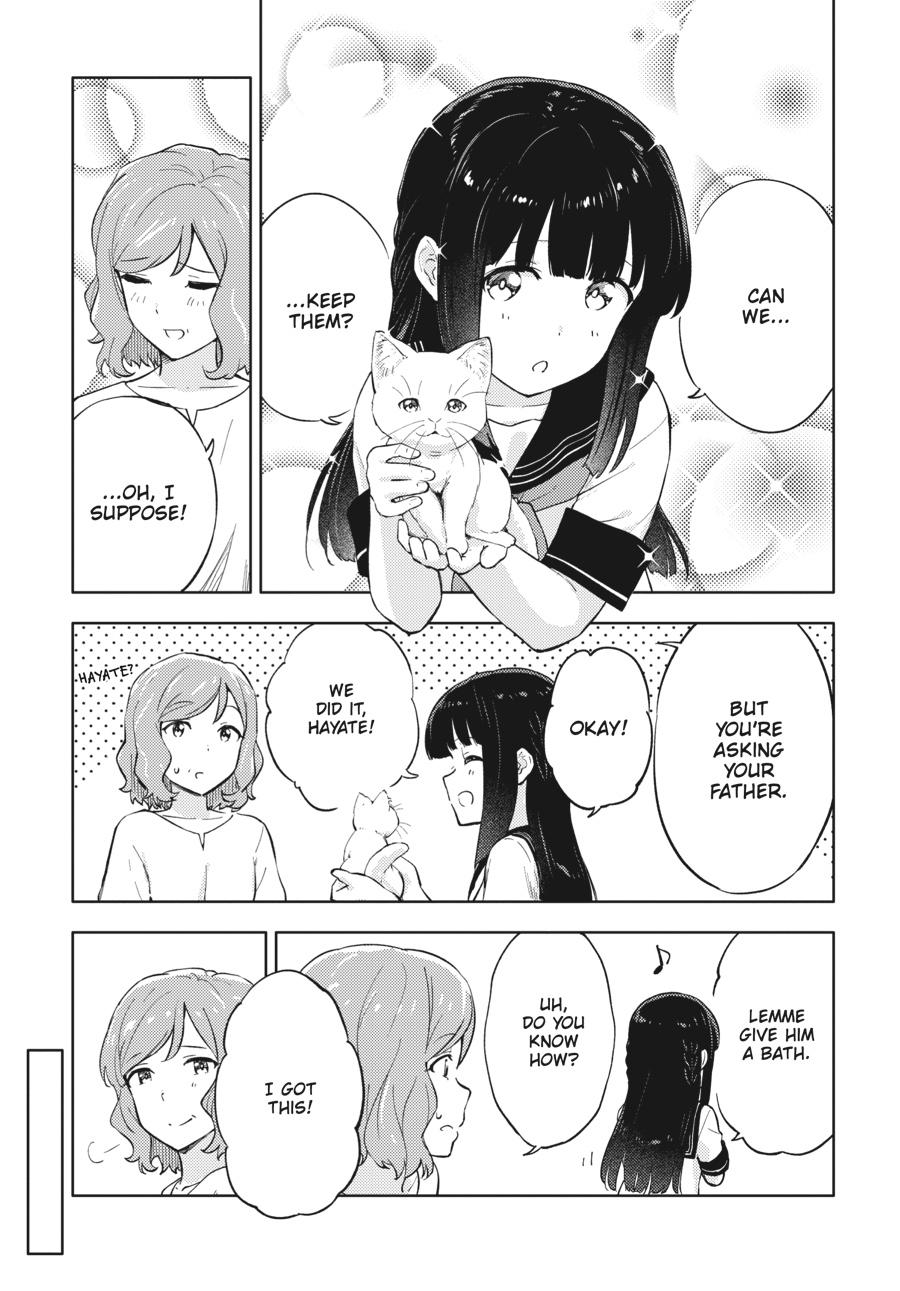 Read Rascal Does Not Dream of a Dreaming Girl Manga Online