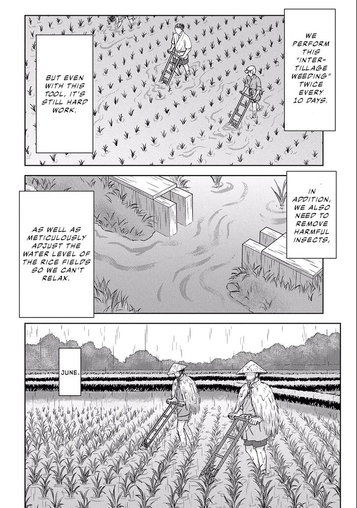 Read Sengoku Komachi Kuroutan Manga Online