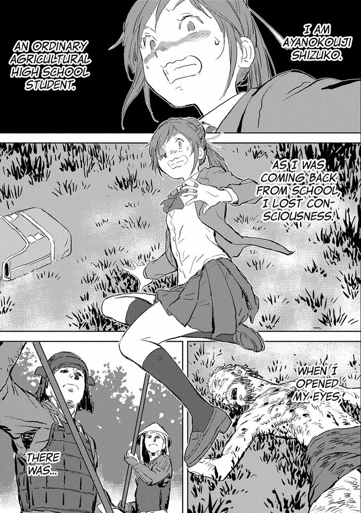 Read Sengoku Komachi Kuroutan Manga Online