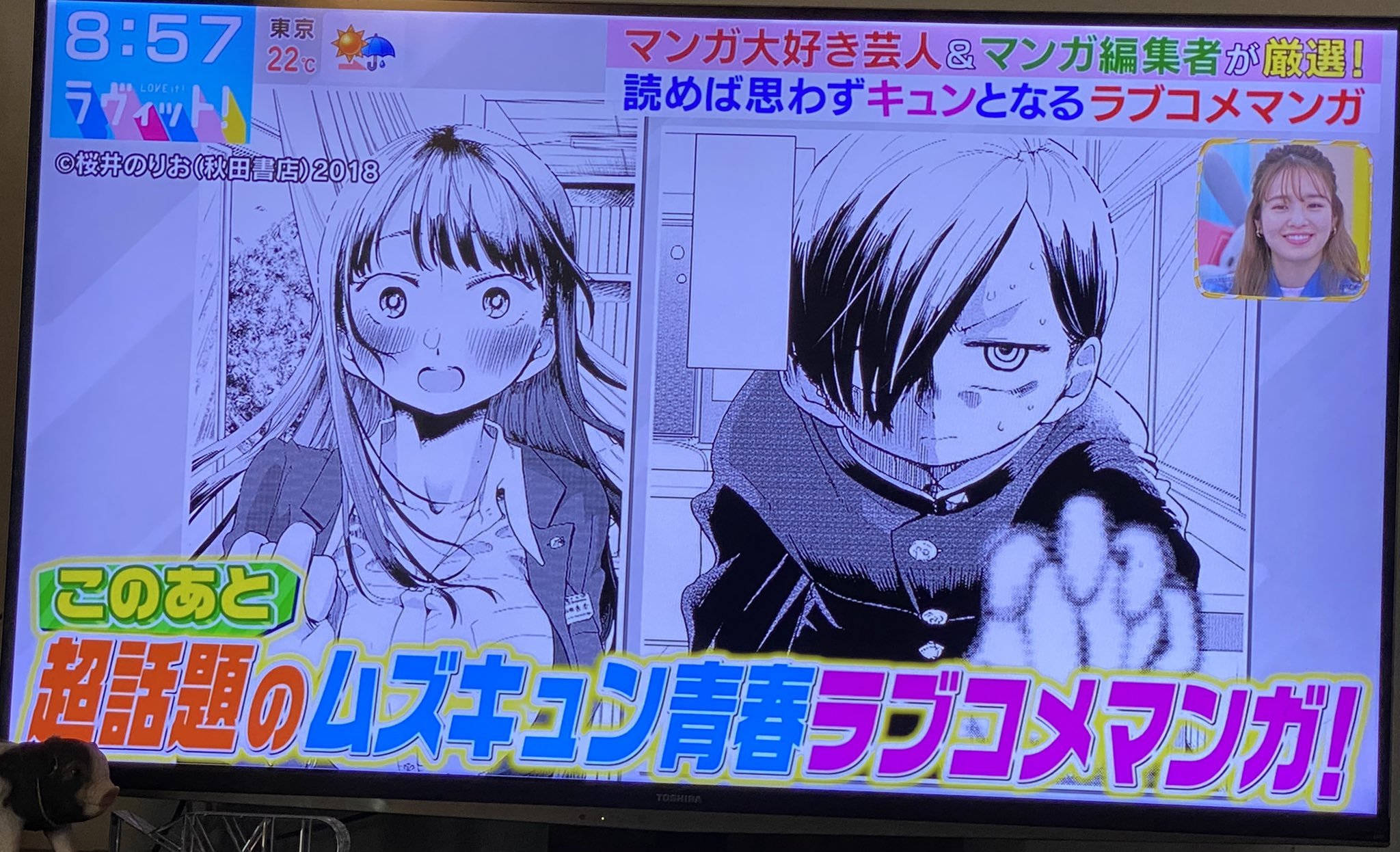 Read The Dangers in My Heart Manga Online