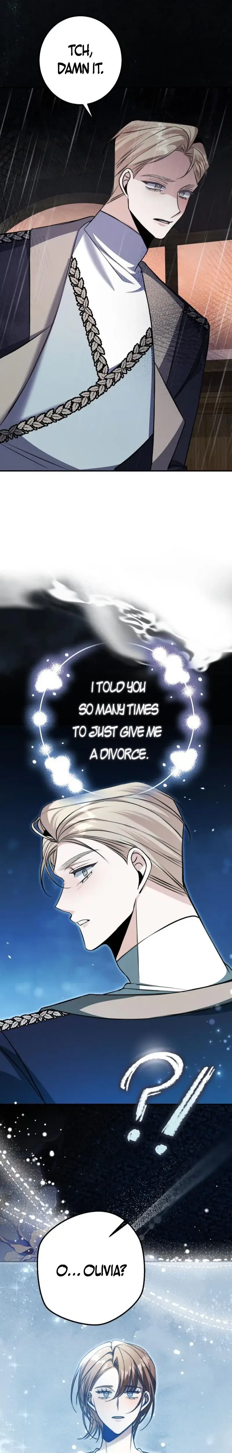 Read The End of an Imperfect Divorce Manga Online