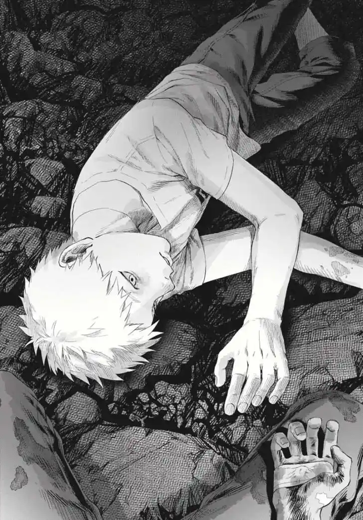 Read The Summer Hikaru Died Manga Online