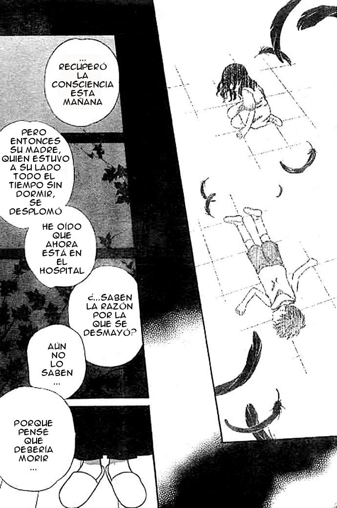 Read Fruits Basket es Manga Online