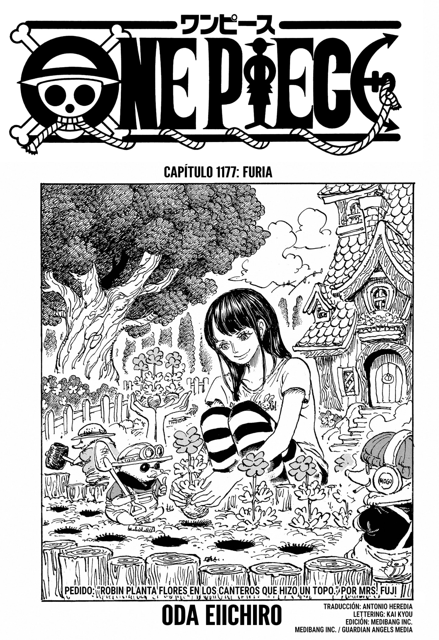 Read One Piece .Es Manga Online