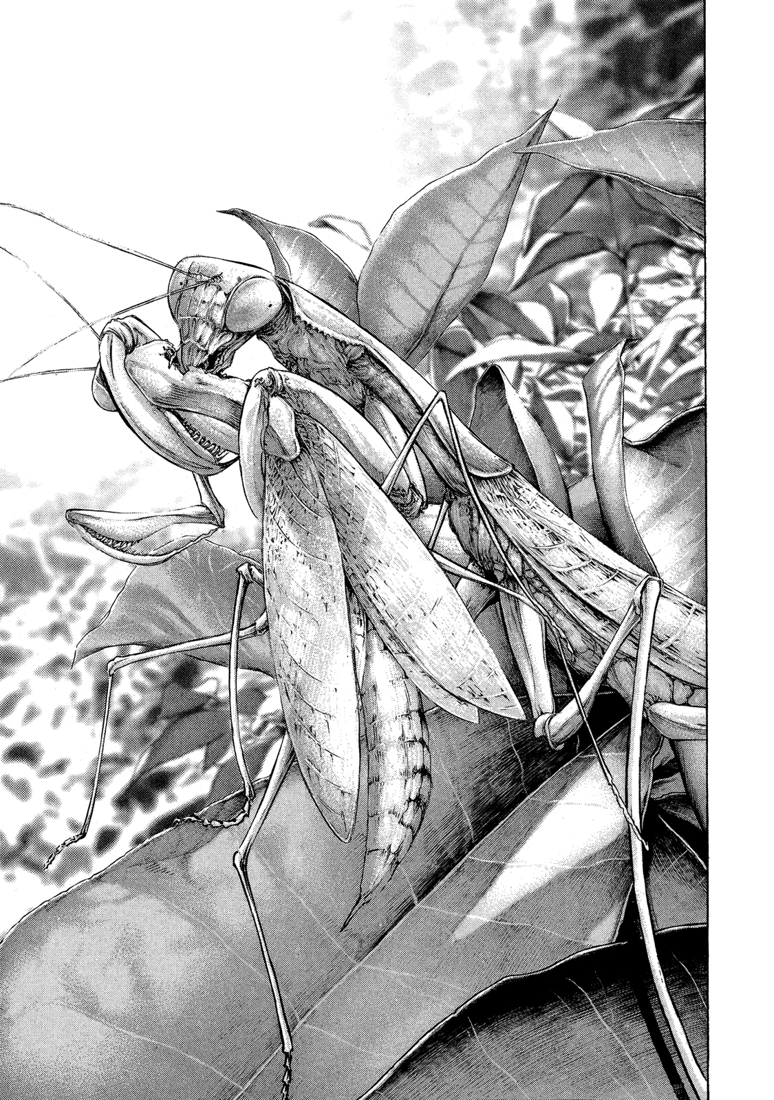 Read The Climber ES Manga Online