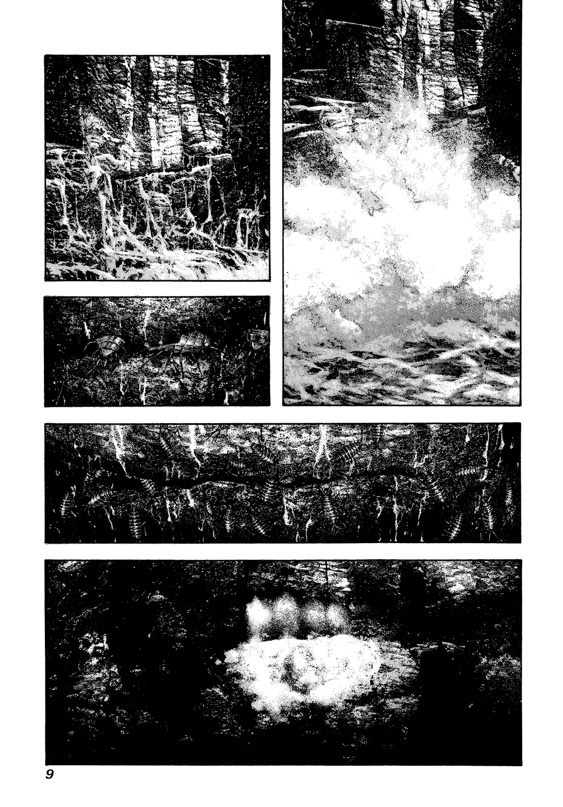 Read The Climber ES Manga Online